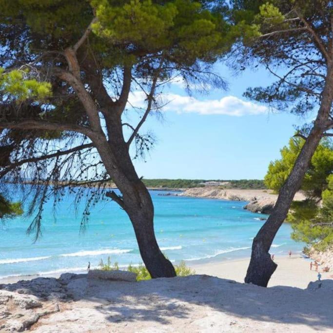 T2 Proche Cote Bleue Marseille Aeroport Gare Tgv Aix Villa Gignac-la-Nerthe Ngoại thất bức ảnh
